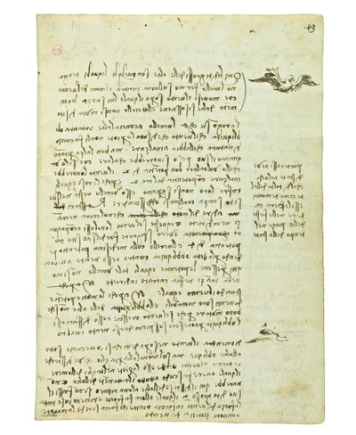 Codex over de vlucht van vogels, Folio 13 recto door Leonardo da Vinci